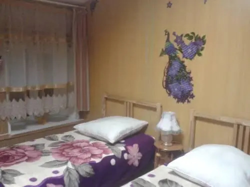 Владивосток: Hostel Sakura