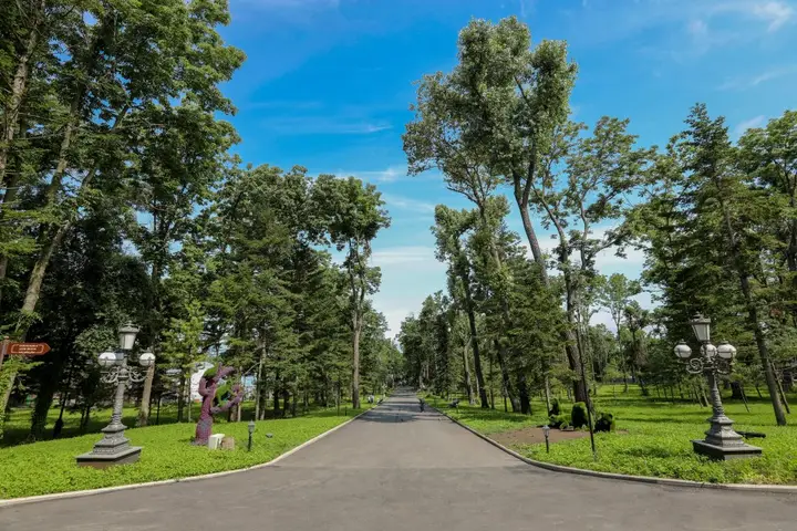 Владивосток: Отель ROYAL PARK