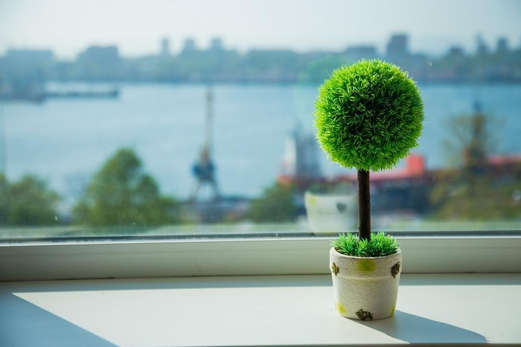 Владивосток: Vlstay Apartment Na Kalinina