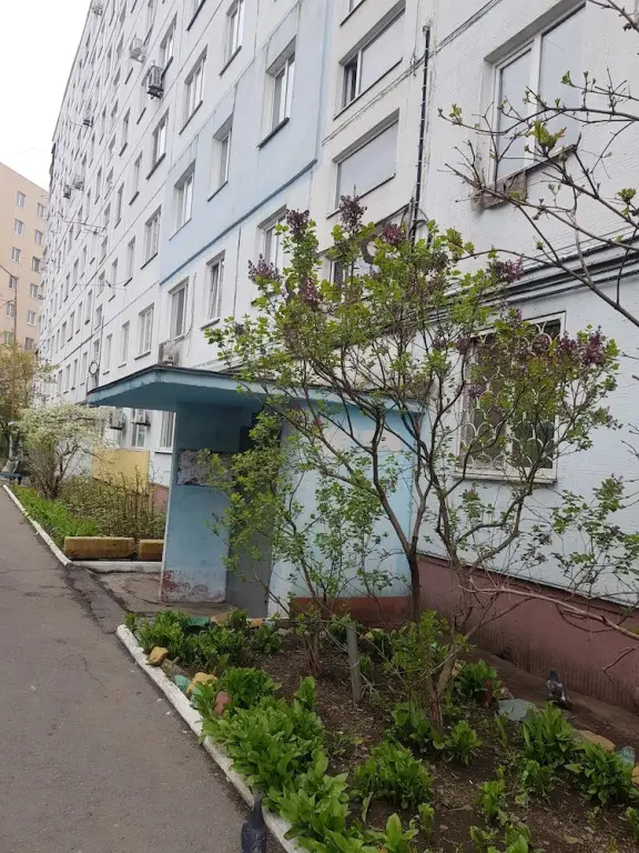 Владивосток: ул. Терешковой, 17, квартиры Vladdom25