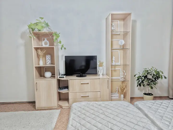 Воронеж: Квартира na 9-go Yanvarya