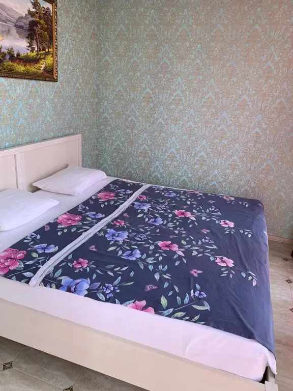 Сочи: Snova Doma 2komn Apartments