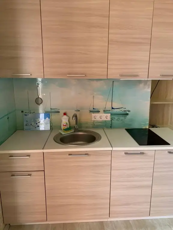 Сочи: Snova Doma 2komn Apartments