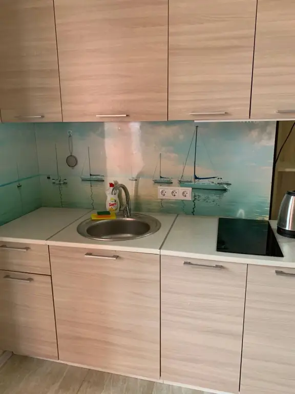 Сочи: Snova Doma 2komn Apartments