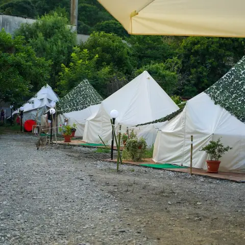 Шале Киви Трэвэл — фото 1
