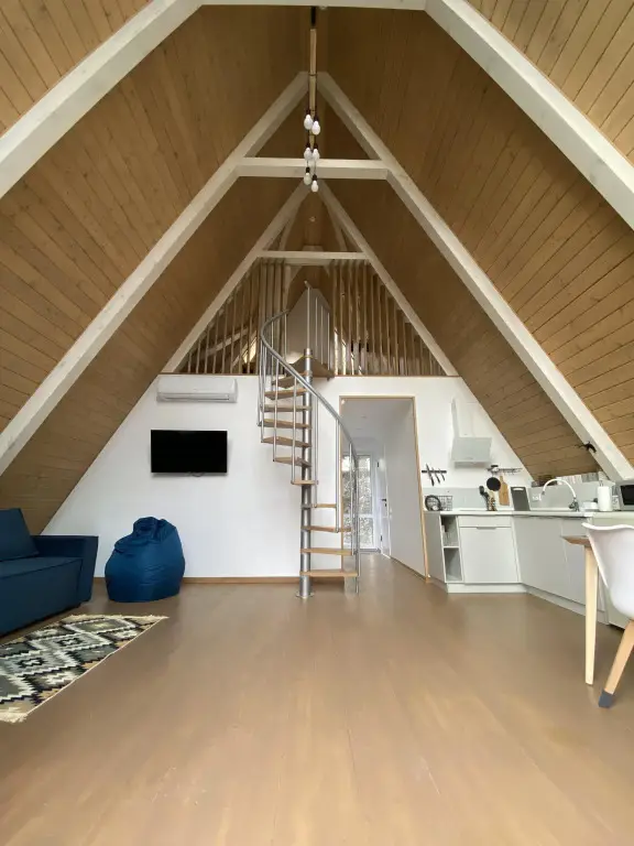 Сочи: Шале A-Frame Forrest