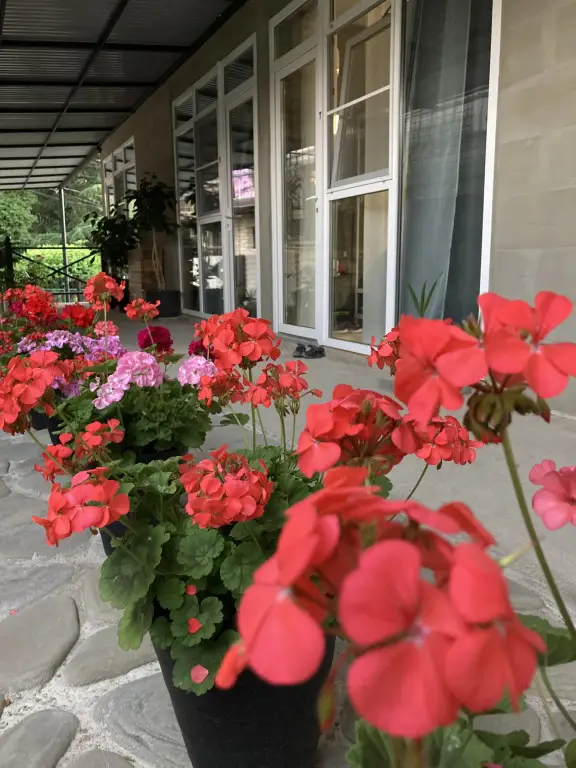 Smart Guest House — фото 1