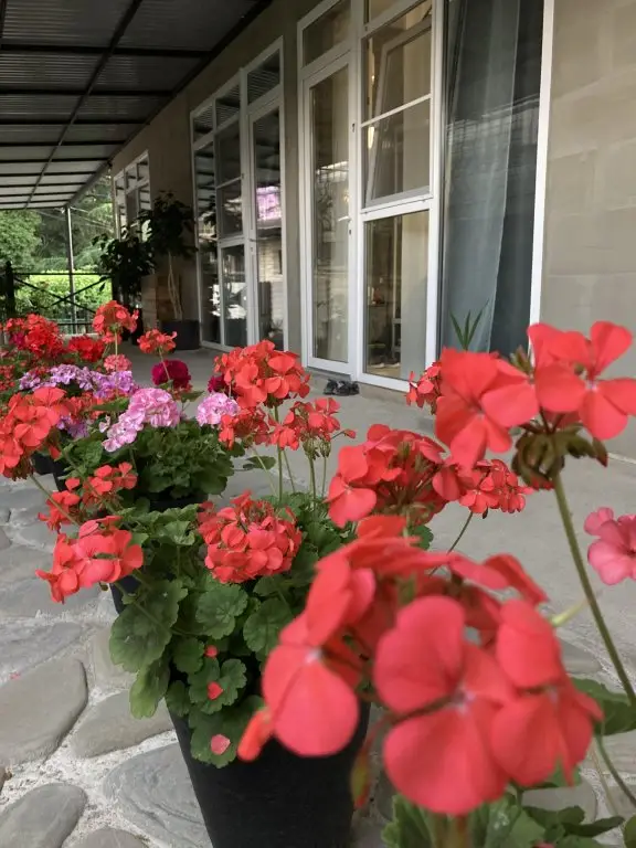 Сочи: Smart Guest House