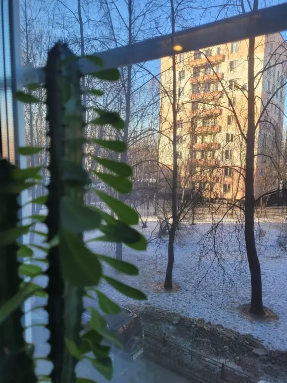 Санкт-Петербург: Апартаменты Soft & Nice Apart