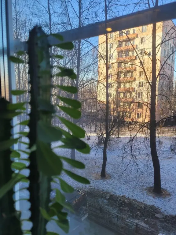 Санкт-Петербург: Апартаменты Soft & Nice Apart