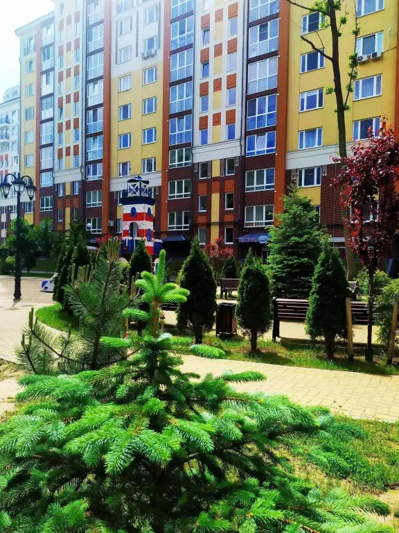 Зеленоградск: Апартаменты Holiday home