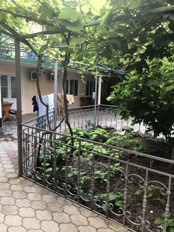 Анапа: Гостевой дом Анна на Гоголя 225