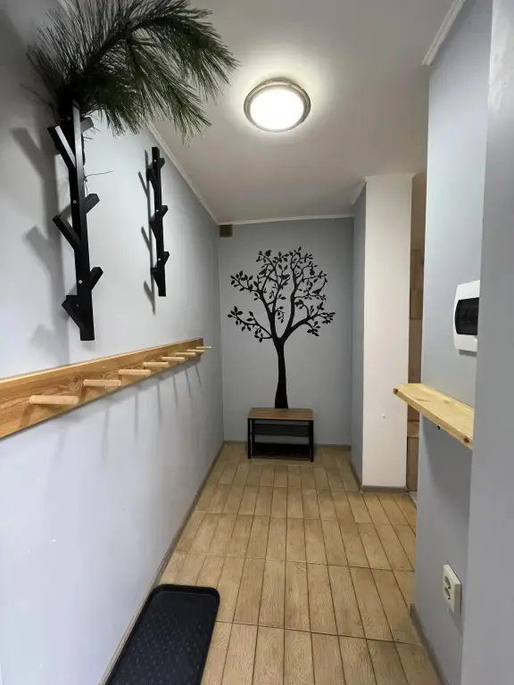 Красная Поляна: Апартаменты Cozy Apartments Dvortsovaya