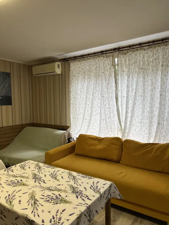 Красная Поляна: Апартаменты Cozy Apartments Dvortsovaya