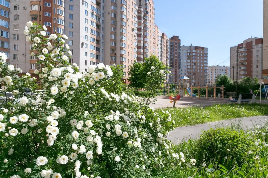 Санкт-Петербург: Апартаменты Морошка на Ленинском