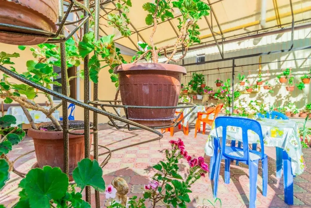 Сочи: Margarita Guest House