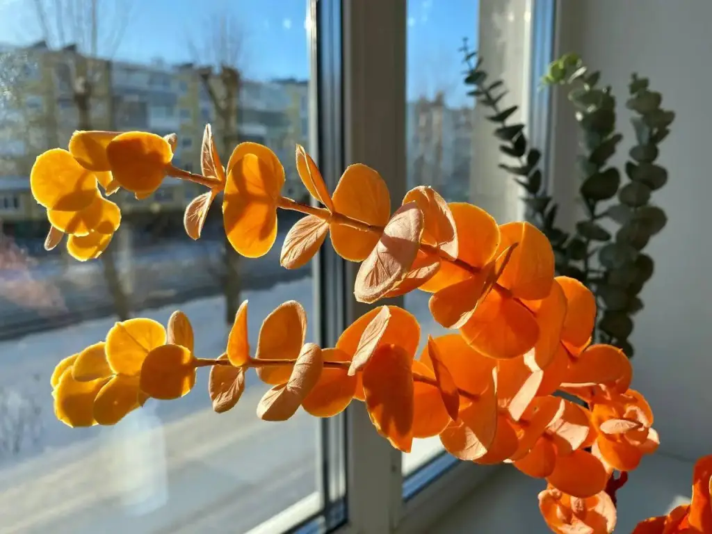 Северодвинск: SeveRent (СевеРент) на улице Карла Маркса 26