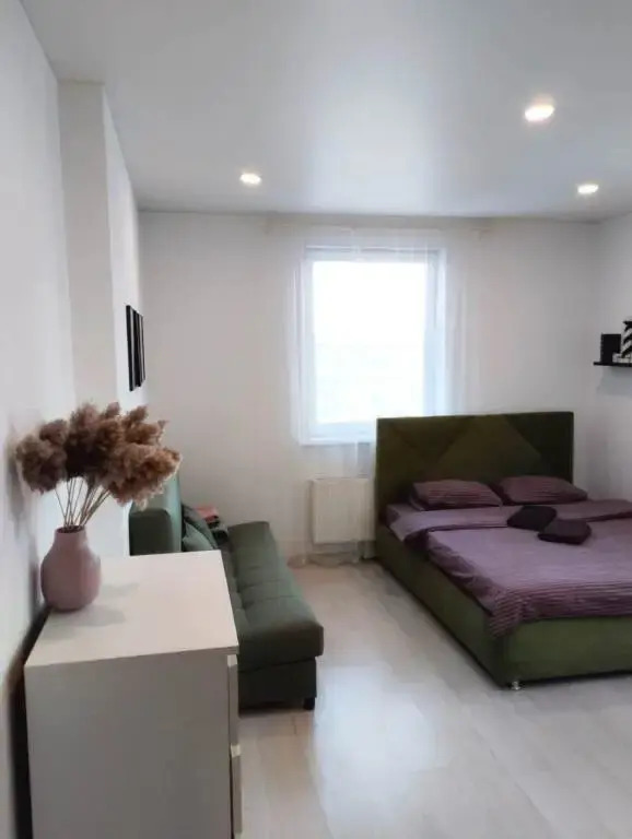 Екатеринбург: Апартаменты DreamHouse ЖК Эврика