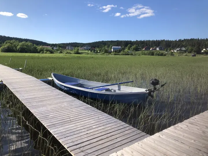 Сортавала: Domiki Na Borovoj Guest House