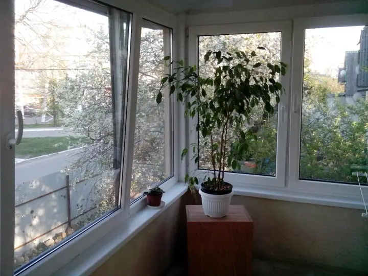 Калининград: Apartment on Dachnoy
