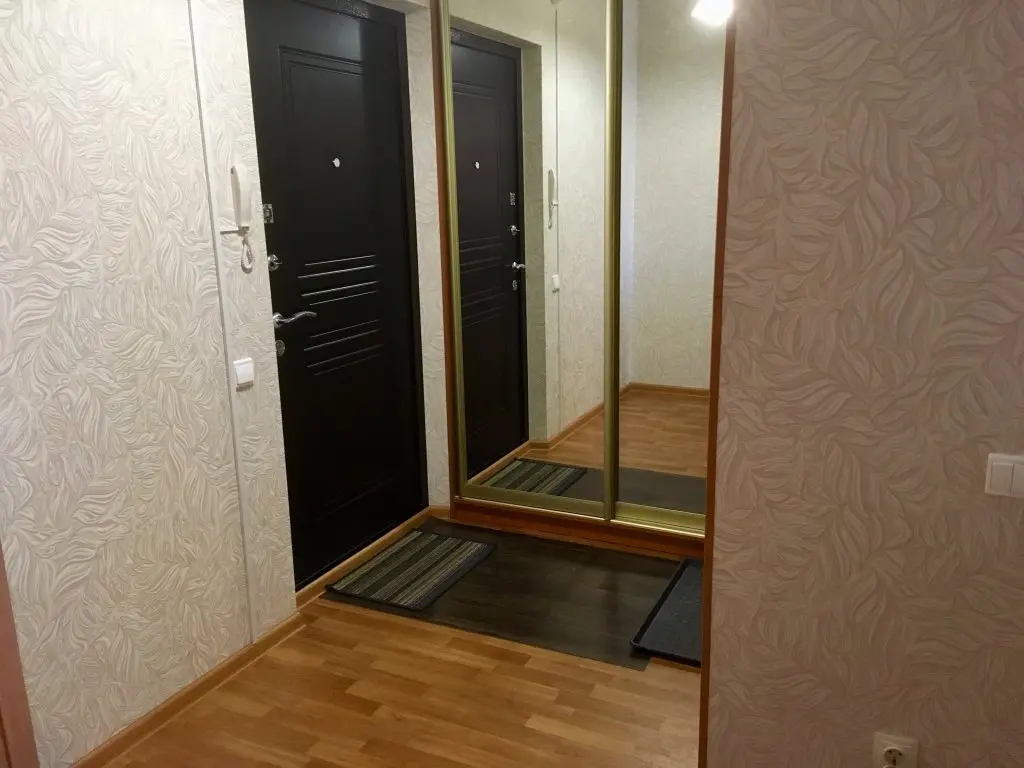 Петрозаводск: Апартаменты Однокомнатная квартира 71 Онегоhome у озера в Петрозаводске