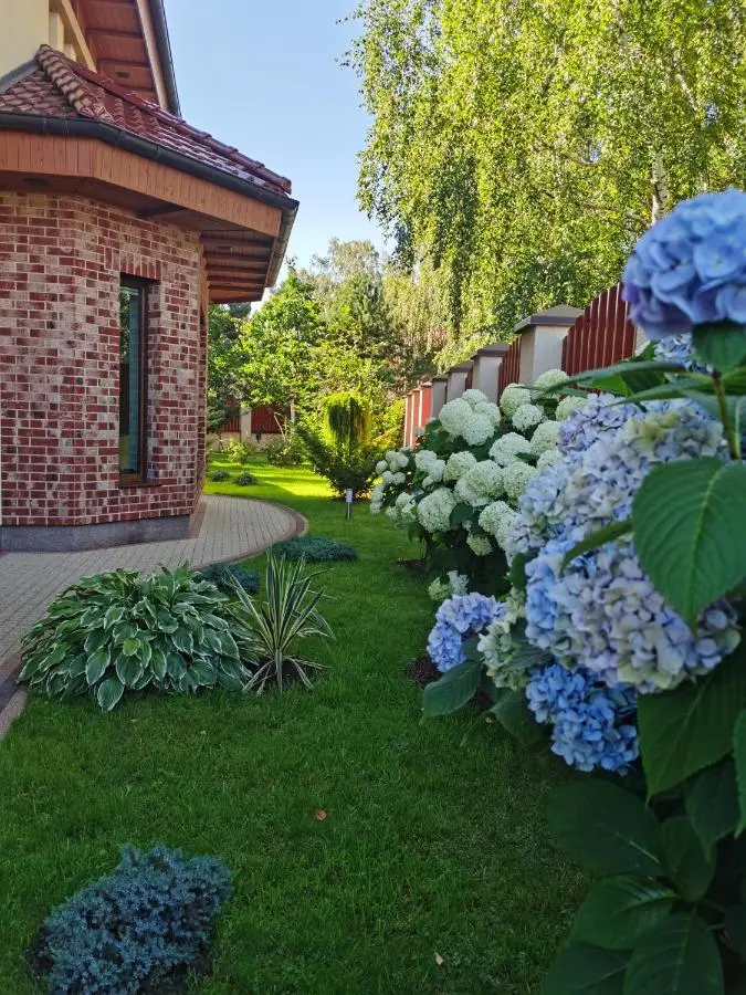 Лесной: KoenigHouse - Villa Forest