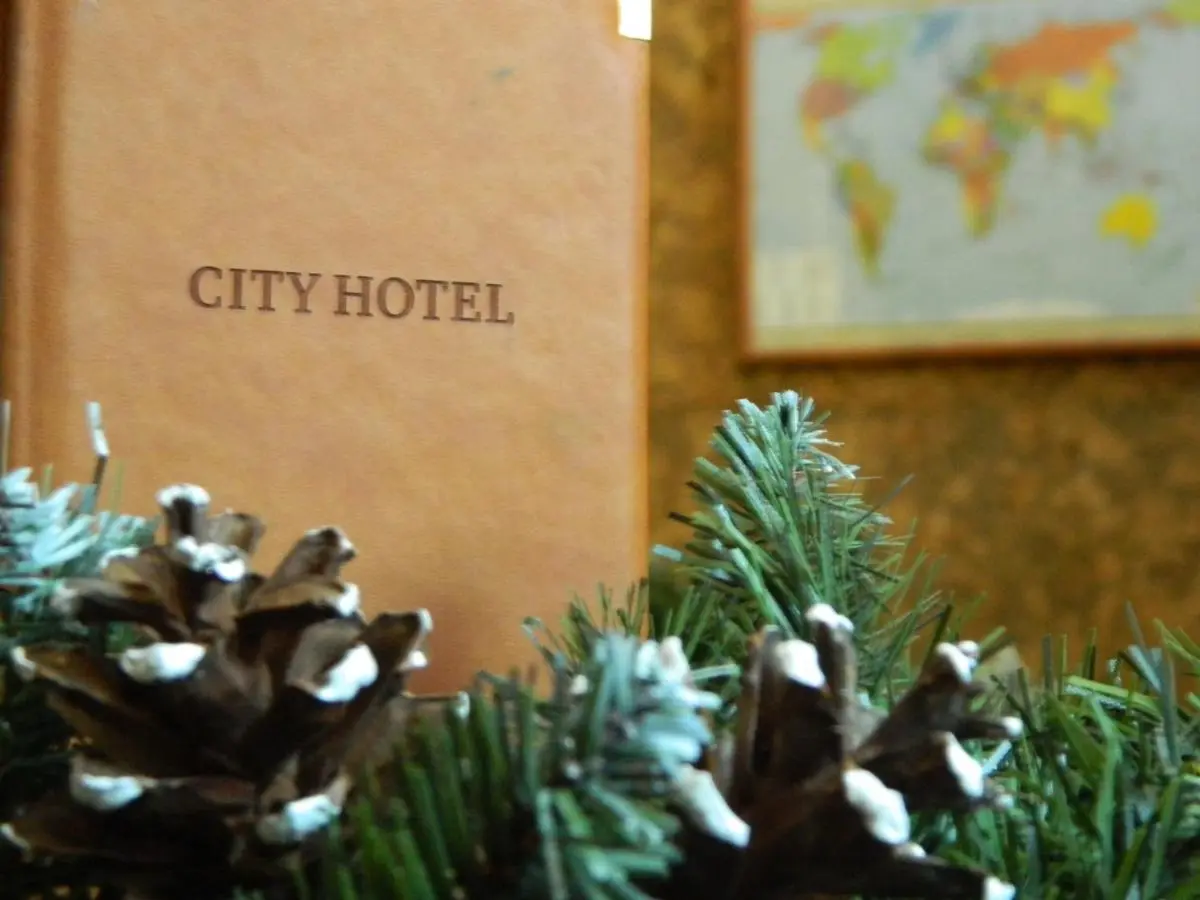 Иркутск: City Hotel