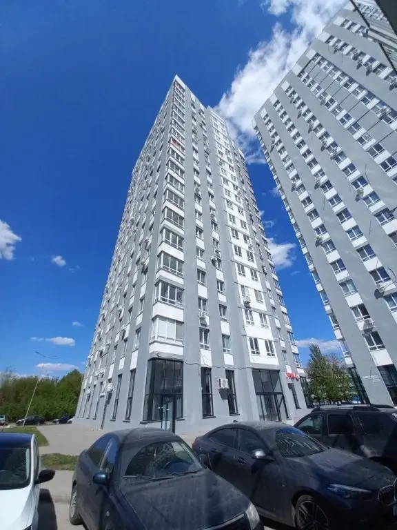 Самара: Апартаменты Папай и Оливия