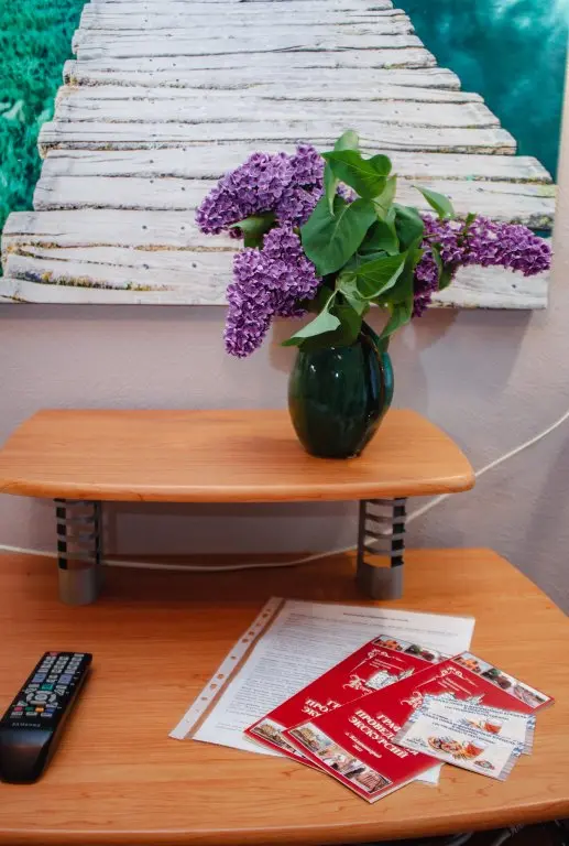 Калининград: Zelenyi Tsentr Goroda Apartments