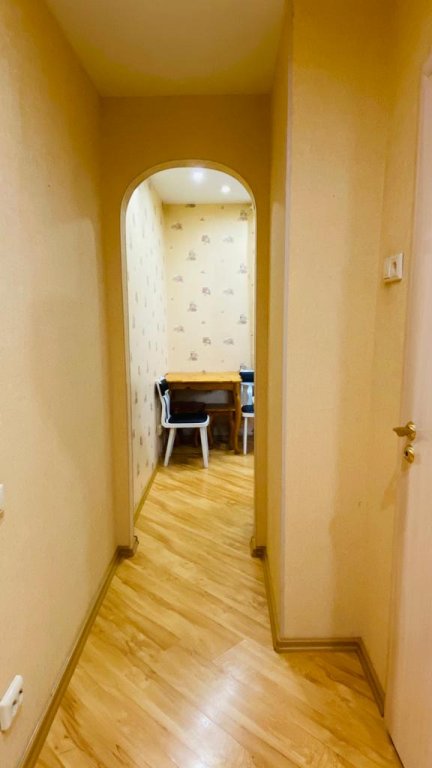 Петрозаводск: Апартаменты Однокомнатная квартира на Берёзовой аллее ОНЕГОHOME