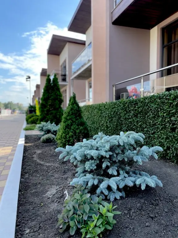 Таганрог: Отель Diamond Park Hotel