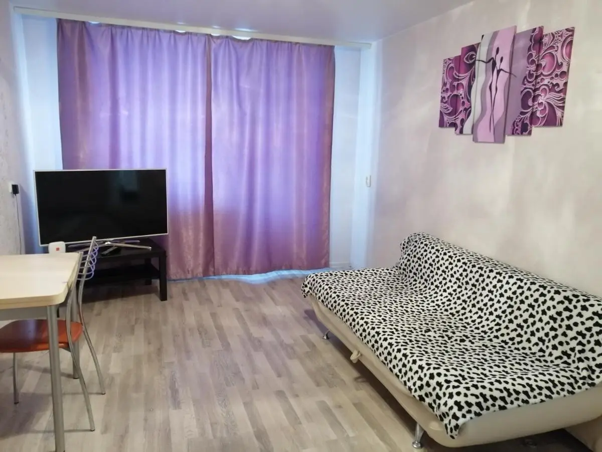 Иркутск: Apartament on Baikalskaya 102