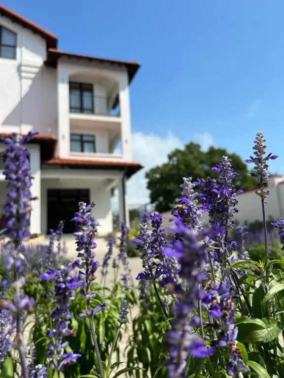 Геленджик: Отель Villa Anna de luxe