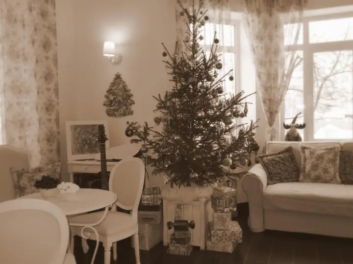 Плес: Guest house Vishneviy Sad