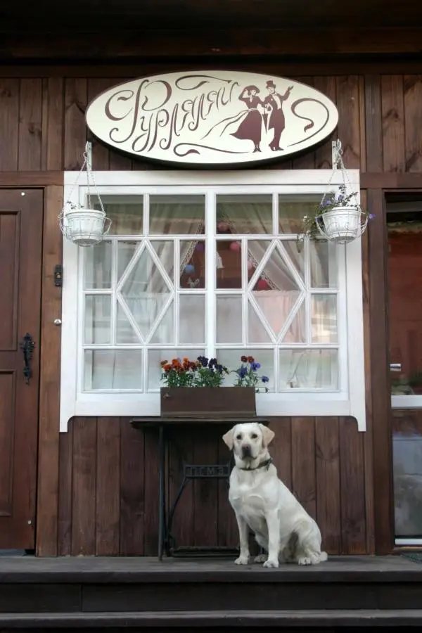 Плес: Guest house Vishneviy Sad