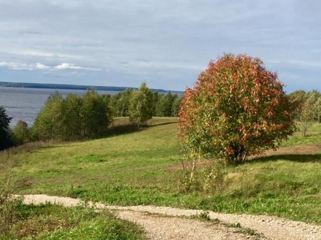 Юрьевец: Fishing Complex Ershikha