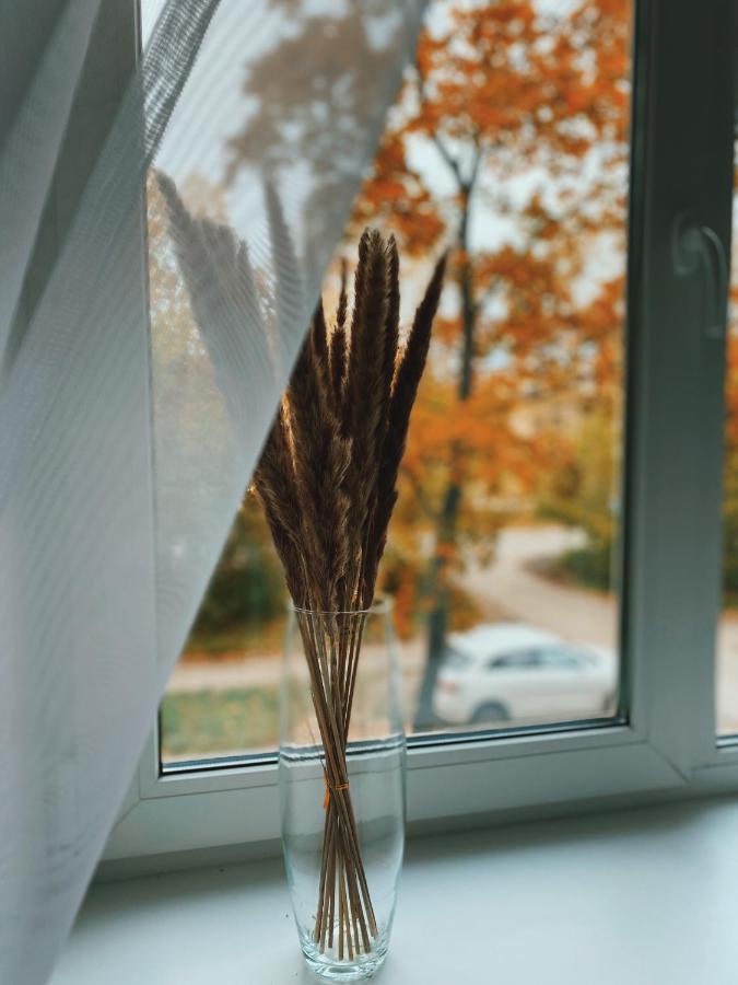Иваново: Happy home на Радищева