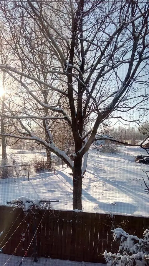 Плес: Tatiana`s Guest House