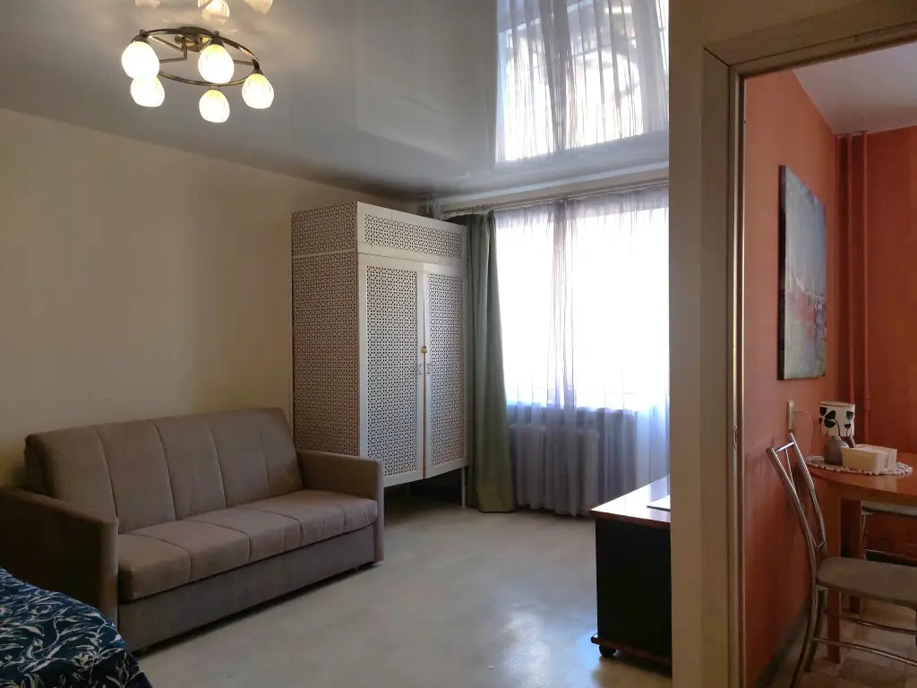 Петрозаводск: Квартира 1к Olivinn в центре города