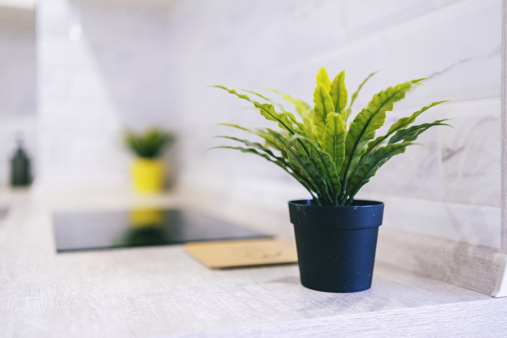 Ростов-на-Дону: Апартаменты Tortoise Apartment Hata.ru