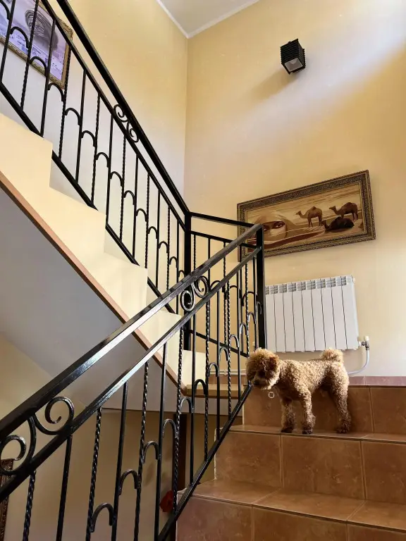 Сочи: Zhemchuzhina Chernogo Morya Guest House