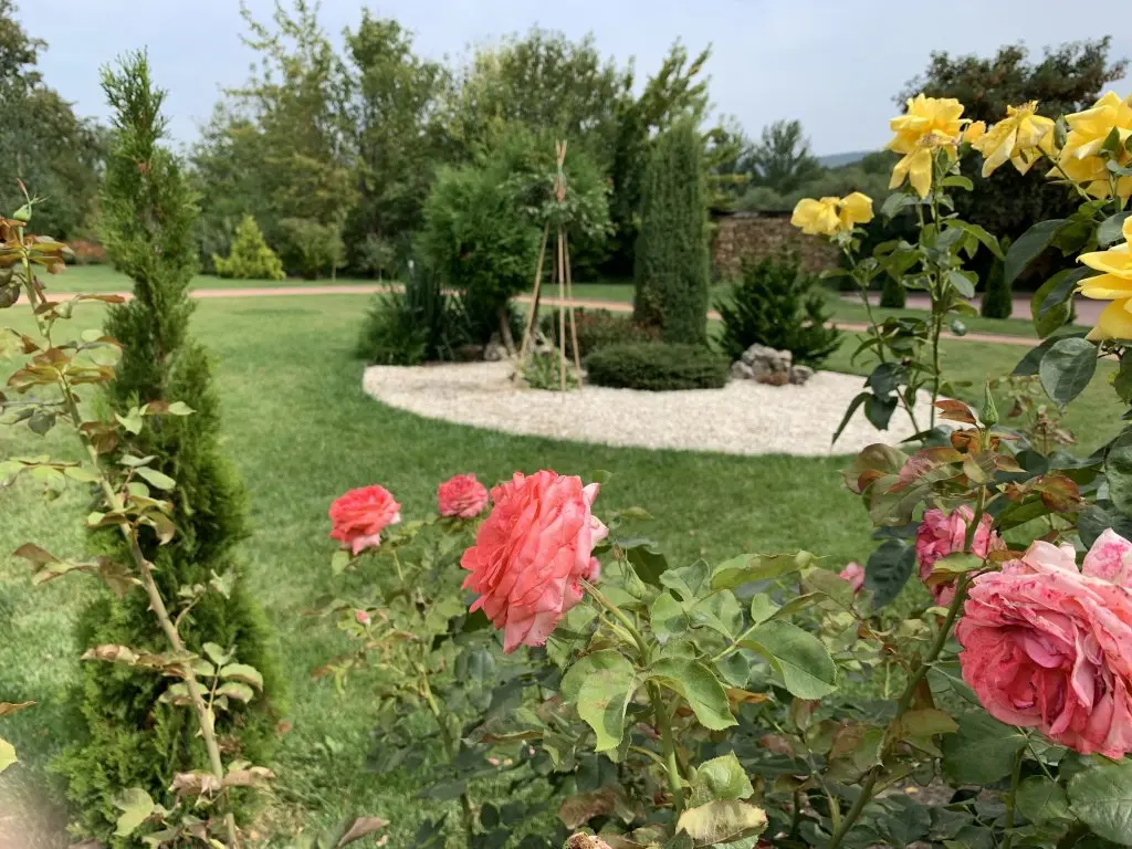 Кисловодск: Апартаменты ЖК Green Park