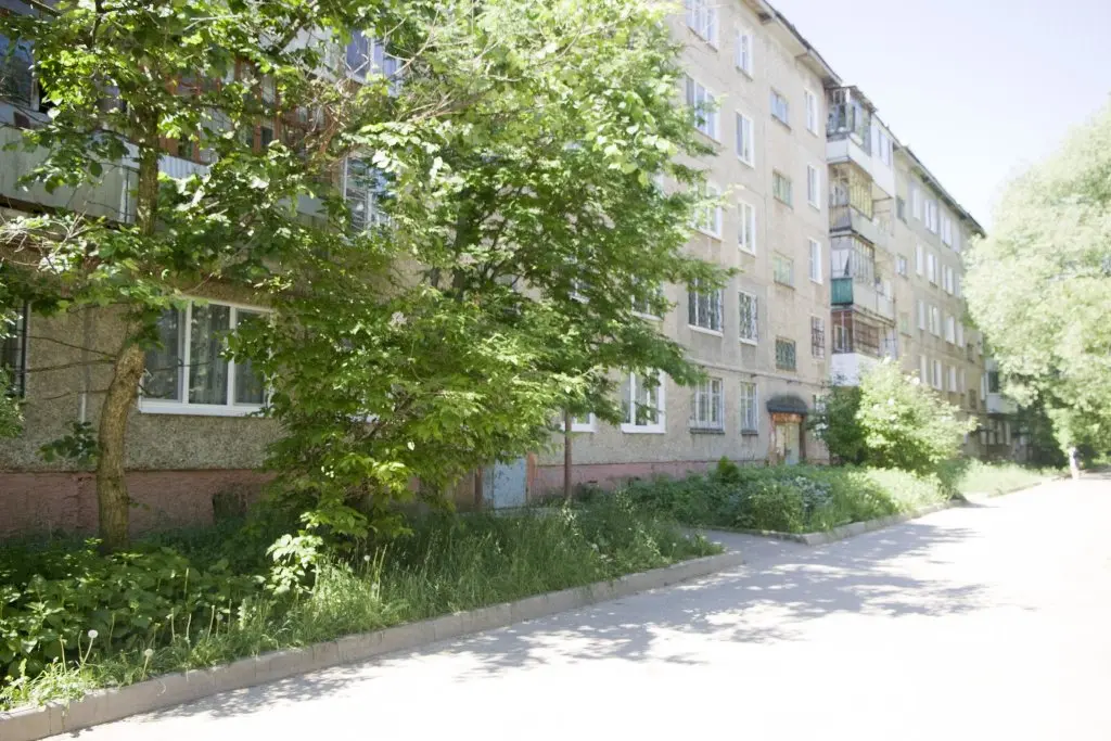 Березники: Барбарис на улице Мира 47