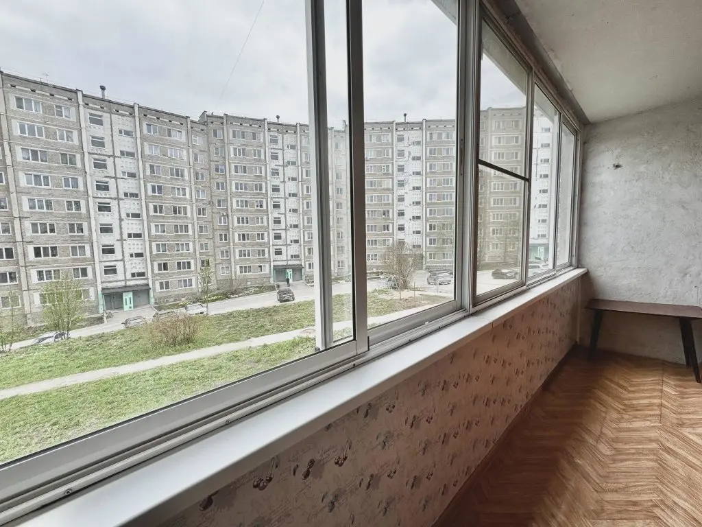 Березники: Барбарис на улице Мира 56