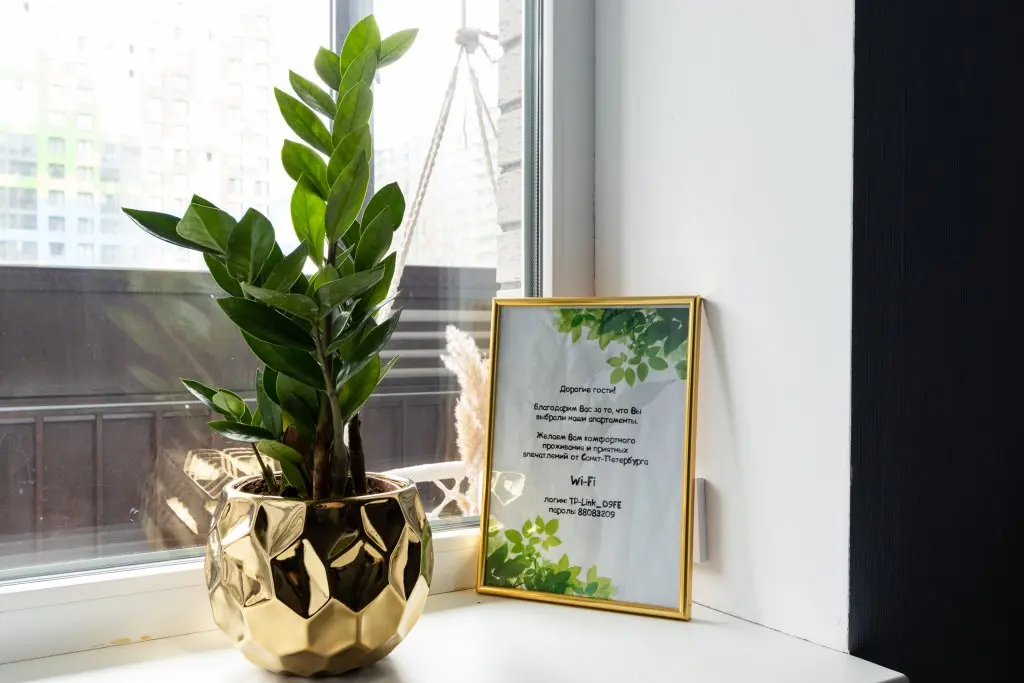 Санкт-Петербург: Апартаменты ELIZA HOME Звездная