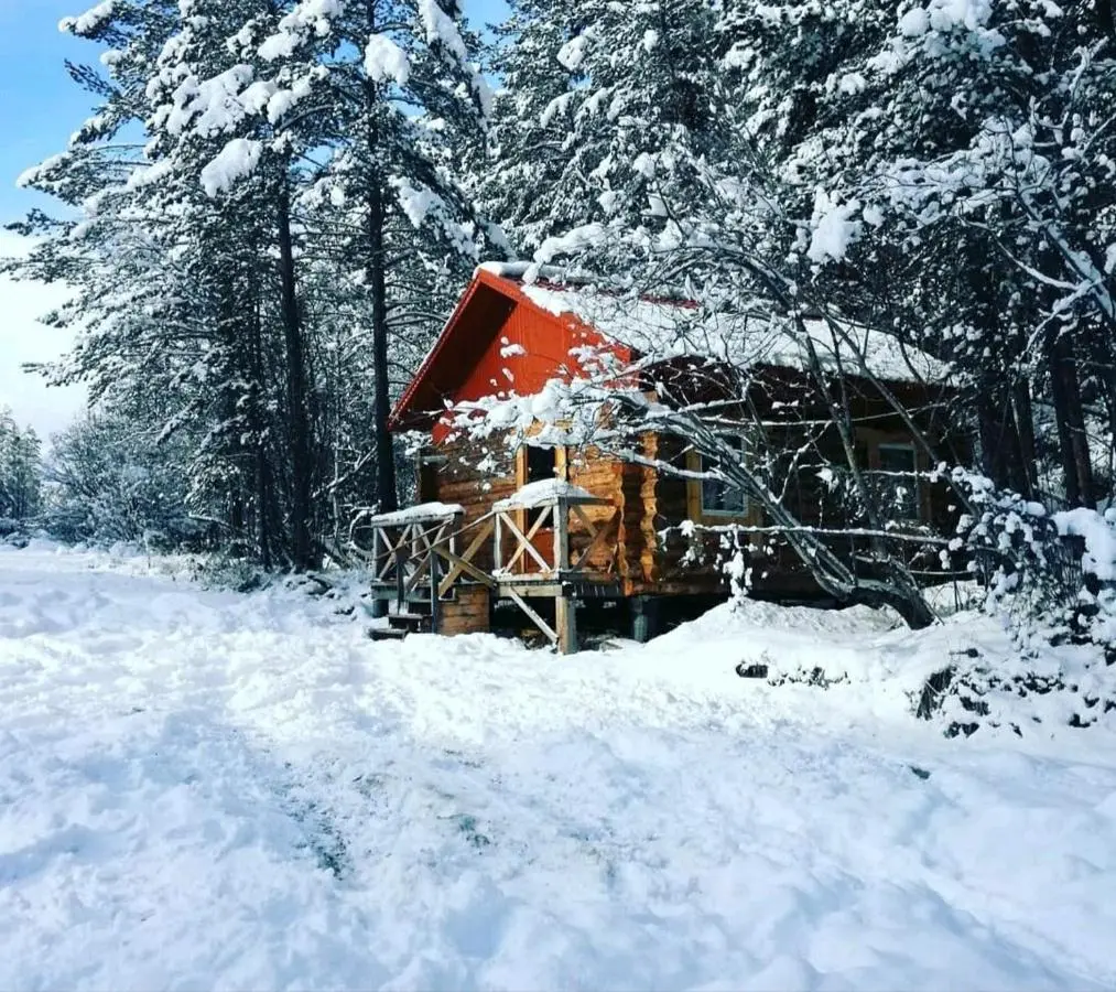 Терскол: Forest House