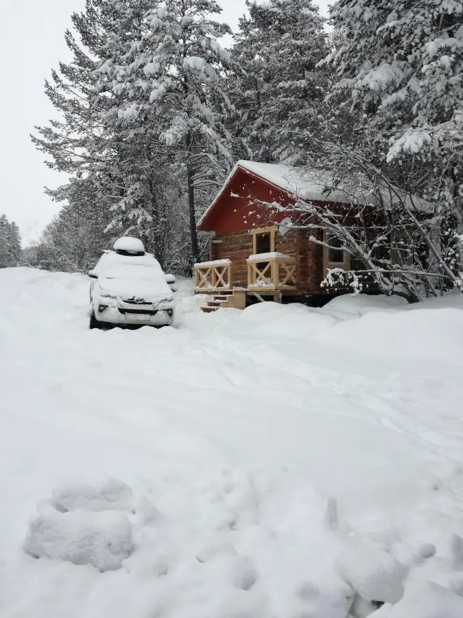 Терскол: Forest House