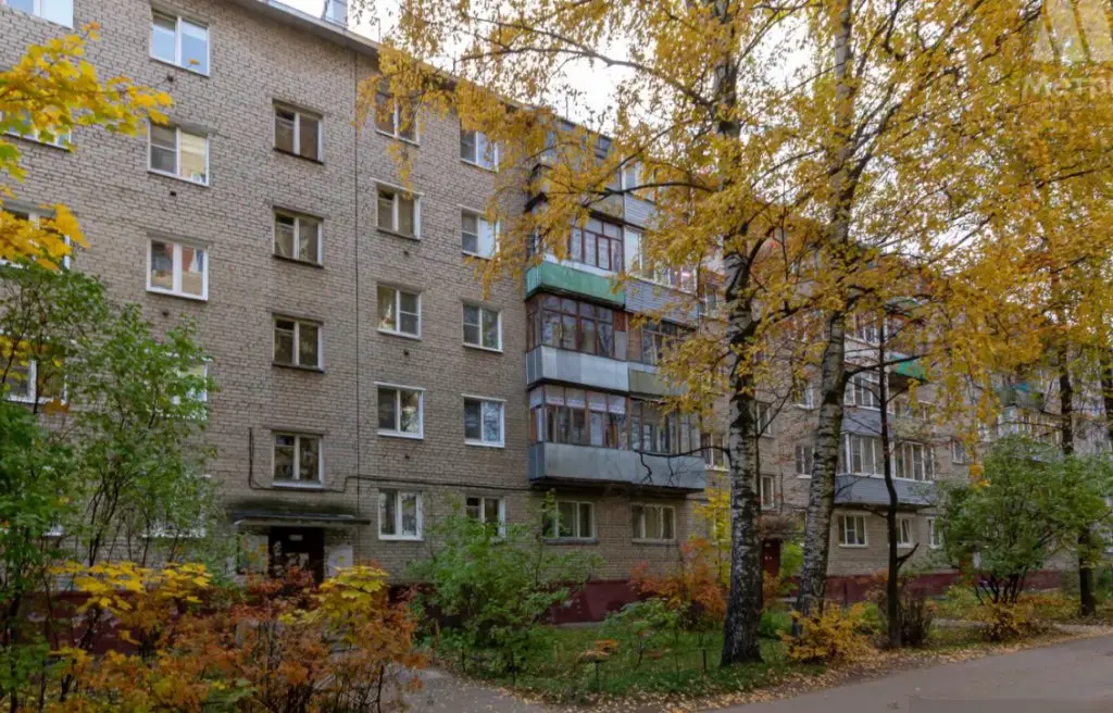 Ярославль: Студии у Московского проспекта