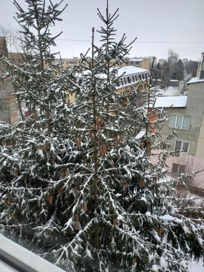 Нальчик: Ватутина 1