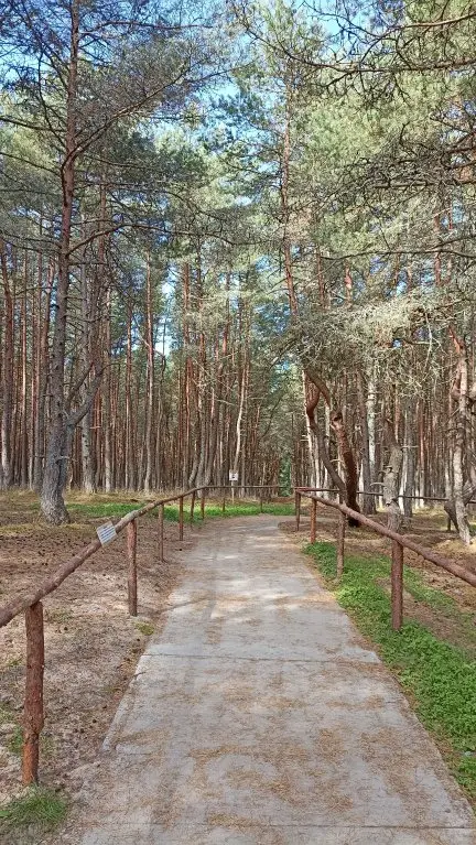 Калининград: Апартаменты на Гагарина 113